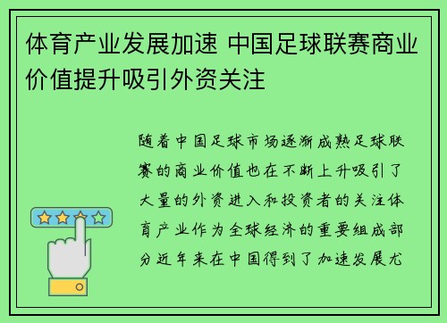 体育产业发展加速 中国足球联赛商业价值提升吸引外资关注
